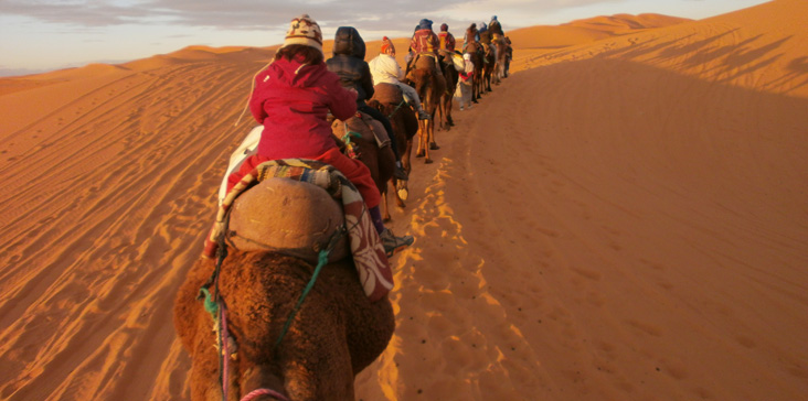 merzouga ziz valley fez