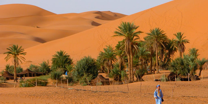 Desierto de Fez a Fez 3 días