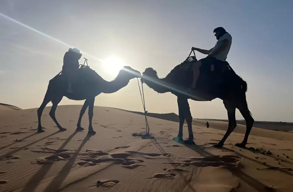 Merzouga Camel Trekking